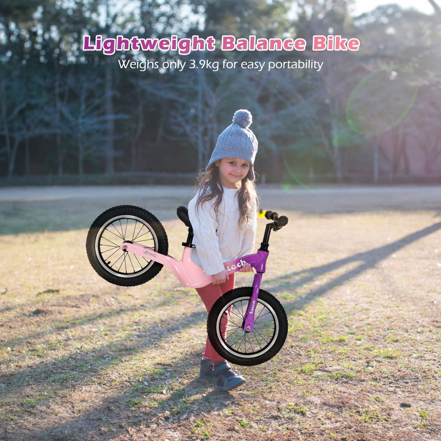 Birtech 14" Kids Balance Bike with Magnesium Alloy Frame Purple&Pink
