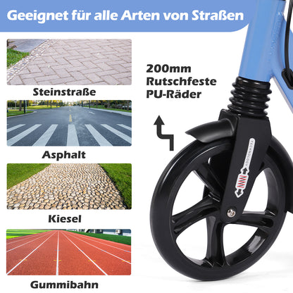 Birtech Kick Scooter with Disc Brake Blue